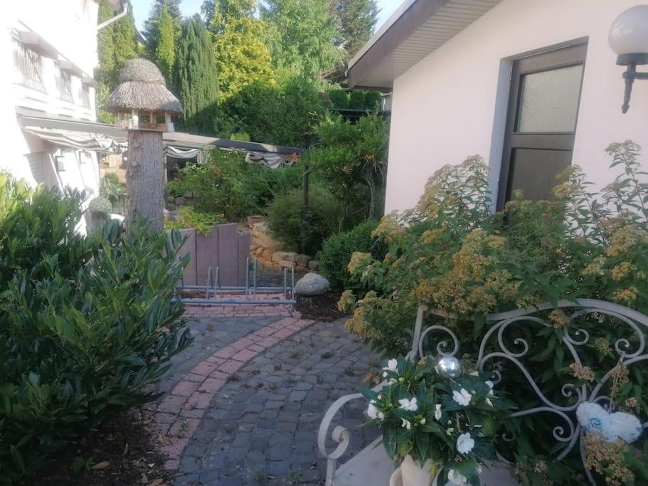 Ferienwohnung Haus Jaeger Ruheoase Im Gruenen Lohfelden Exterior foto
